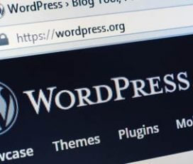 Formation en ligne WordPress – C’est moi le boss